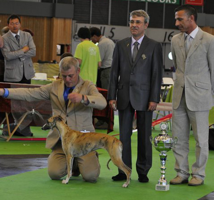 Babsan