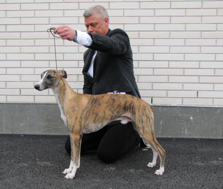 Bjorne champion