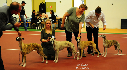 Breedersgroup